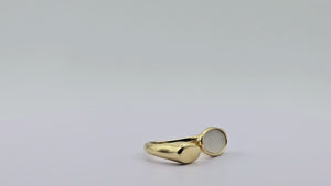 ANILLO KARNAK