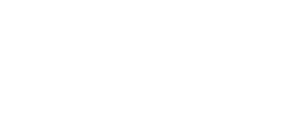 RINNACE 